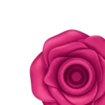 La Rosa Satisfadora és com aquella amiga que sembla delicada… però sap exactament el que fa.